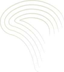 The Macrofungi of Redlair